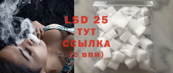 спайс Губаха