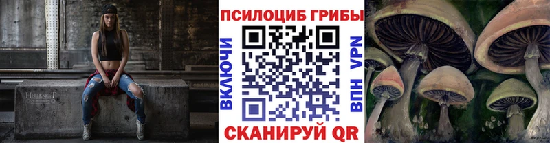 Галлюциногенные грибы Psilocybine cubensis  закладки  Донецк 