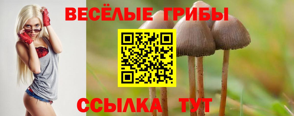 Галлюциногенные грибы Magic Shrooms Донецк